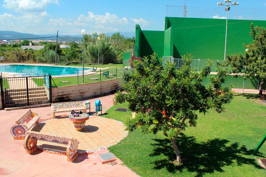 Imagen 5