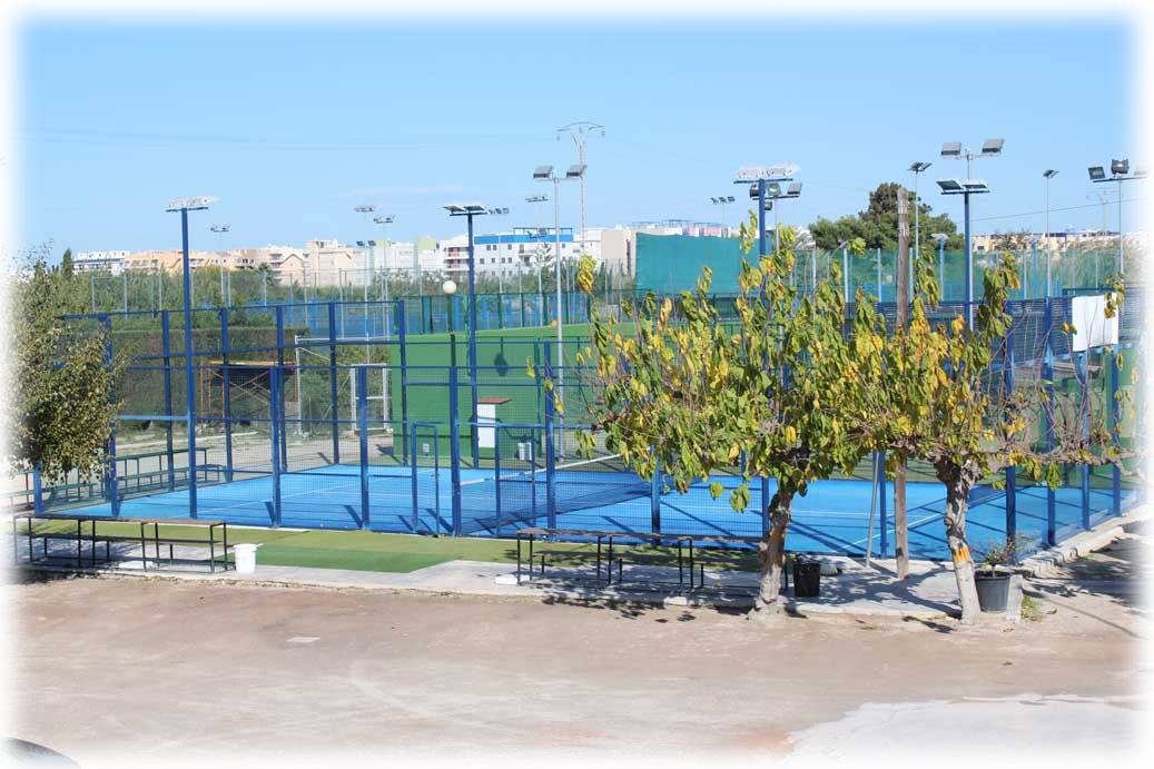 Imagen 7
